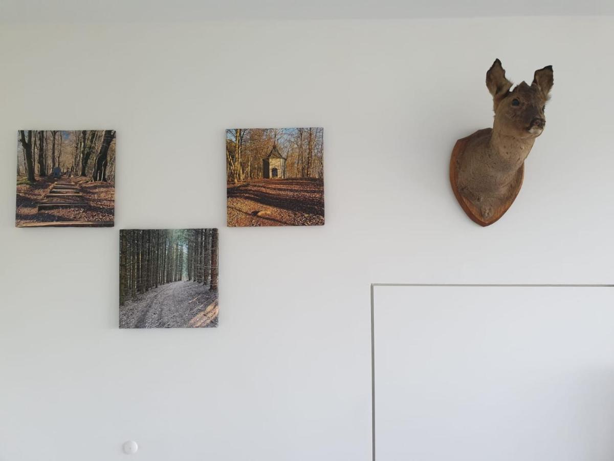 شقة Terrasses De Malmedy - Duplex "Happiness" - Pellet & Airco- المظهر الخارجي الصورة